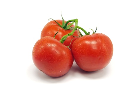 fresh tomatoes on a white background with water drops 
 の写真素材