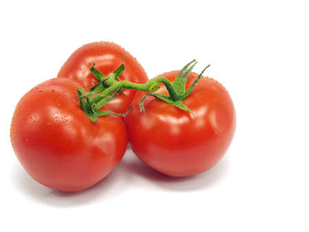 fresh tomatoes on a white background with water drops 
 の写真素材