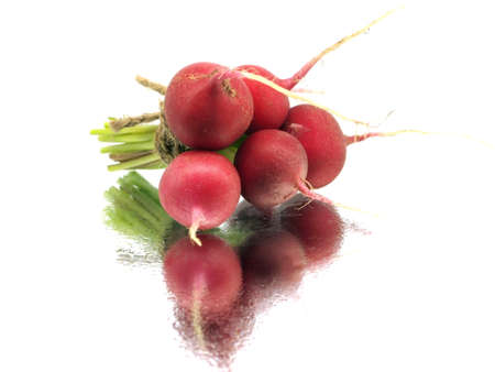bunch of fresh radish on a white background with water drops
  の写真素材