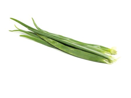 Green onion on a white background 
の写真素材
