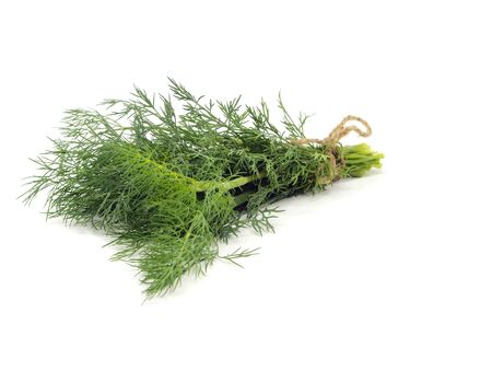 bunch of fresh dill on a white backgroundの写真素材