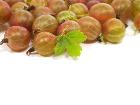 Gooseberries on a white background 
の写真素材