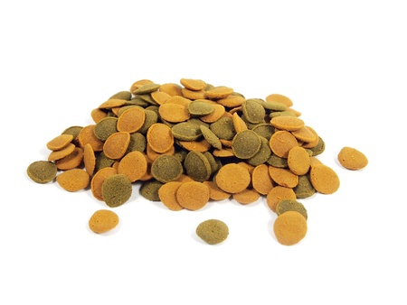 fish food for aquarium on a white background
 の写真素材