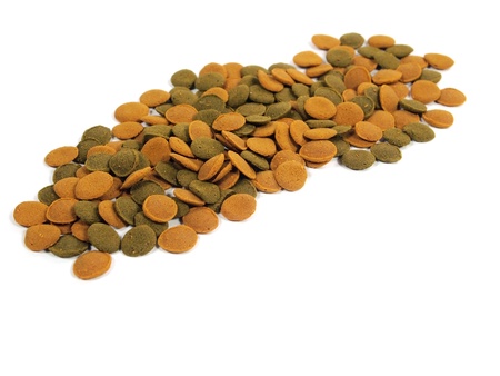fish food for aquarium on a white background
 の写真素材