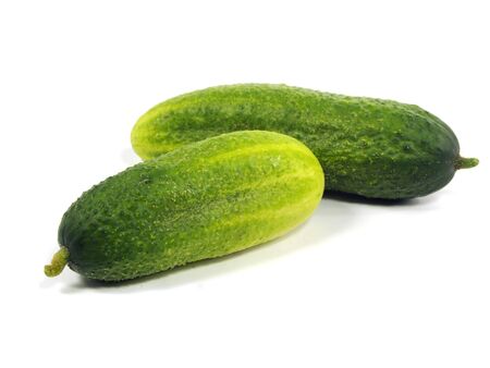 fresh cucumber on a white background   の写真素材