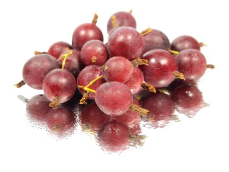 Gooseberries on a white background with water drops
  の写真素材