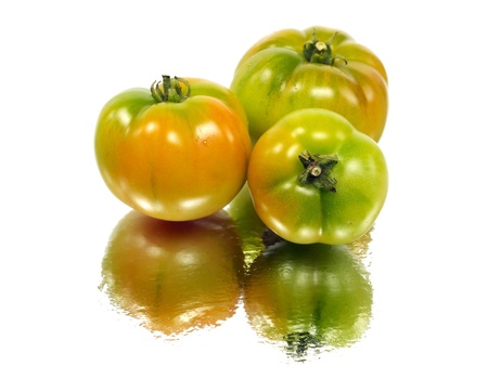 fresh unripe tomatoes on a white background with water drops  の写真素材