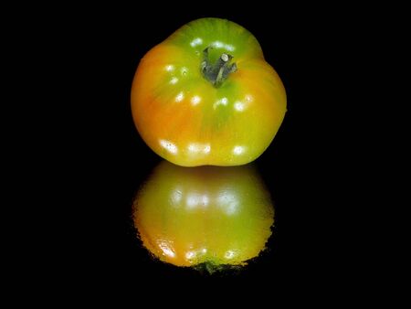 fresh unripe tomatoes on a black background with water drops 
の写真素材