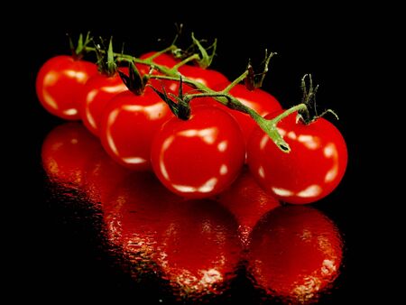 bunch of fresh cherry tomato on a black background with water drops 
  の写真素材