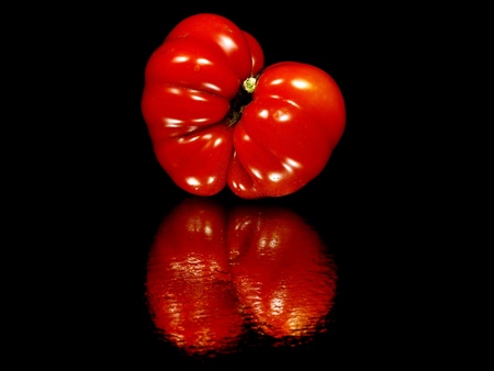 fresh organic tomatoes on a black background with water drop 
   の写真素材