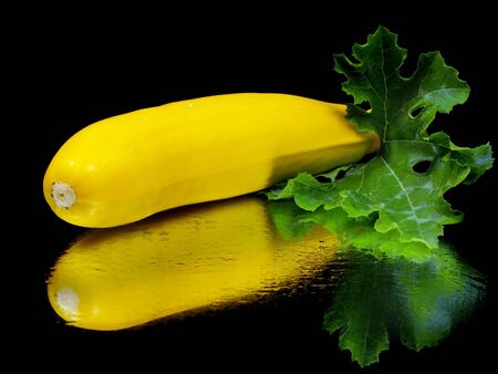 yellow zucchini with leaf on a black background with water drop 
の写真素材