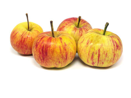 organic apple on a white background 
の写真素材