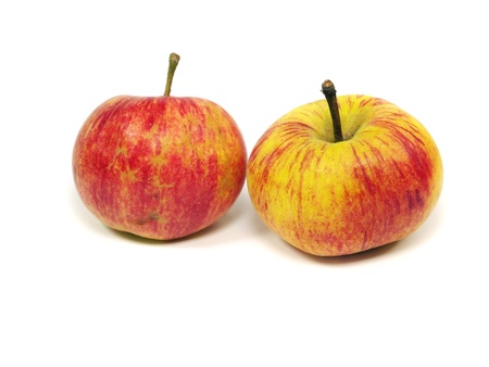 organic apple on a white background 
の写真素材