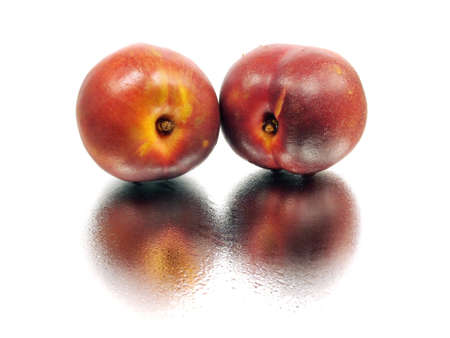 nectarines on a white background with water drops
 の写真素材