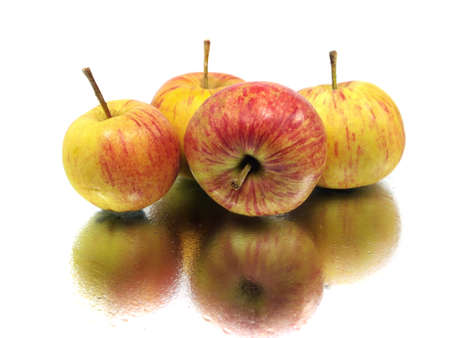 organic apple on a white background with water drops
の写真素材