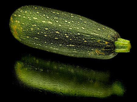 marrow on a black background with water drops
 の写真素材