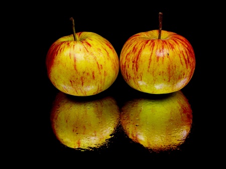 organic apple on a black background with water drops 
の写真素材