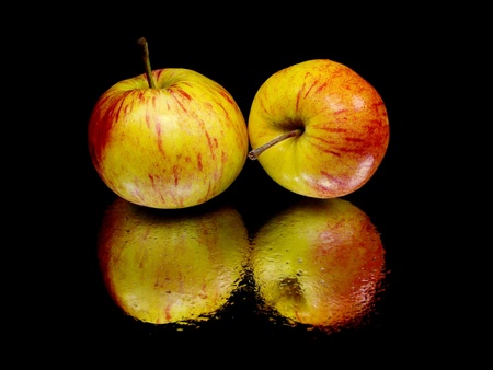 organic apple on a black background with water drops 
の写真素材