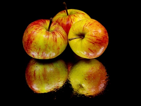 organic apple on a black background with water drops 
の写真素材