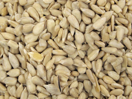 sunflower seeds on a white background
  の写真素材