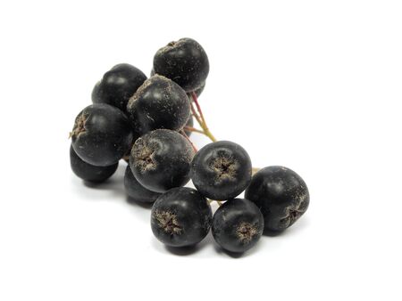 black chokeberry on a white backgroundの写真素材