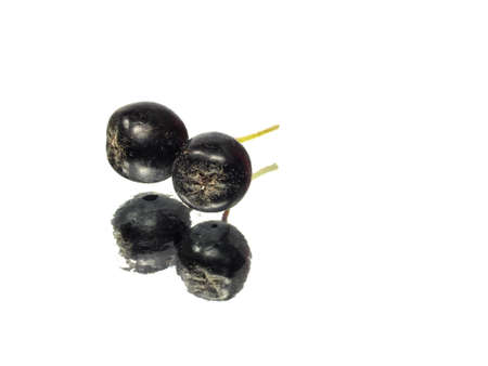 black chokeberry on a white background with water drops
の写真素材