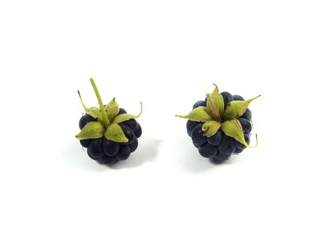 Blackberry with green leaf on a white background 
の写真素材