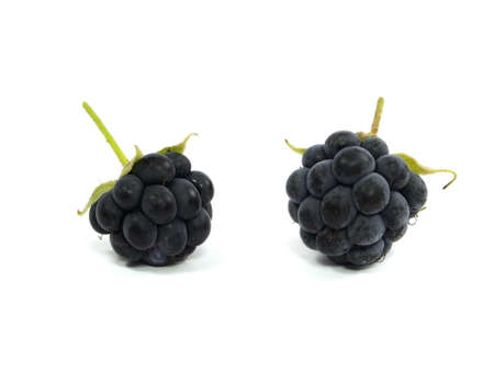 Berry with green leaf on a white background 
の写真素材