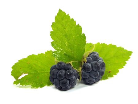 Berry with green leaf on a white background 
の写真素材