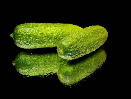 fresh organic cucumber on a black background with water drop 
       の写真素材