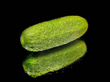 fresh organic cucumber on a black background with water drop 
       の写真素材