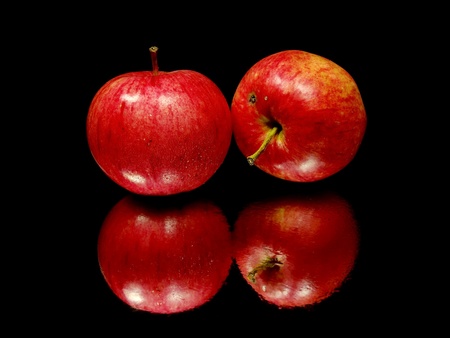 red organic apple on a black background with water drops 
      の写真素材