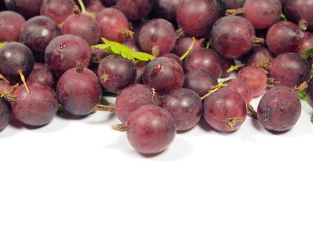Gooseberries on a white background 
    の写真素材