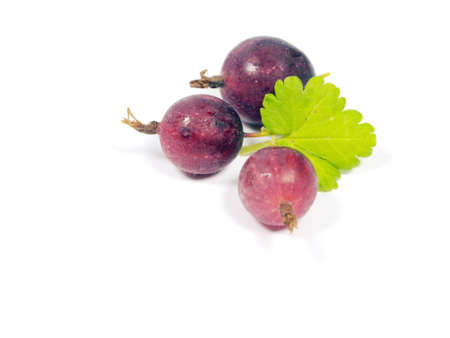 Gooseberries on a white background 
    の写真素材