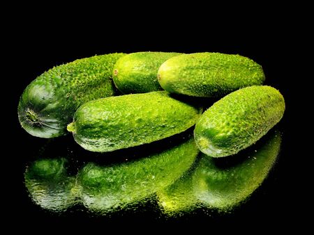 fresh organic cucumber on a black background with water drop 
       の写真素材