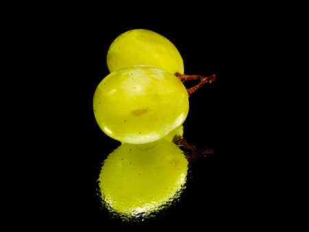 bunch of green grapes on a black background with water drops
      の写真素材