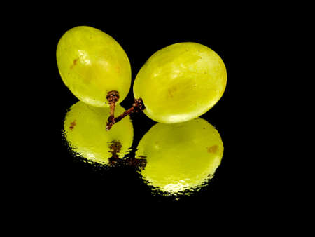 bunch of green grapes on a black background with water drops
      の写真素材