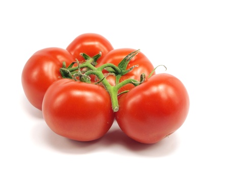 fresh tomatoes on a white background の写真素材