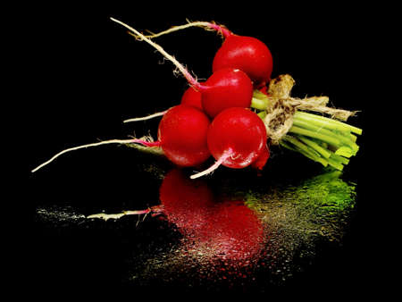 bunch of fresh radish on a black background with water drops
  の写真素材