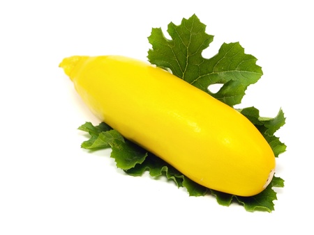yellow zucchini with leaf on a white background 
      の写真素材