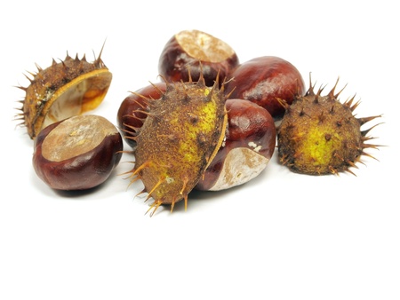 Chestnuts on a white background       の写真素材