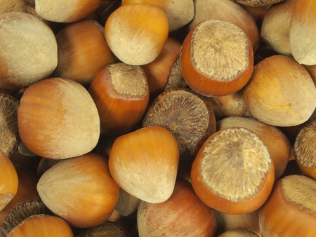 hazelnuts on a white background