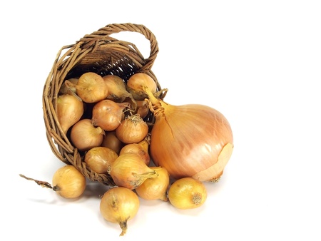 onion bulbs in basket on a white backgroundの写真素材