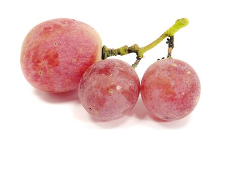 bunch of red grapes on a white backgroundの写真素材