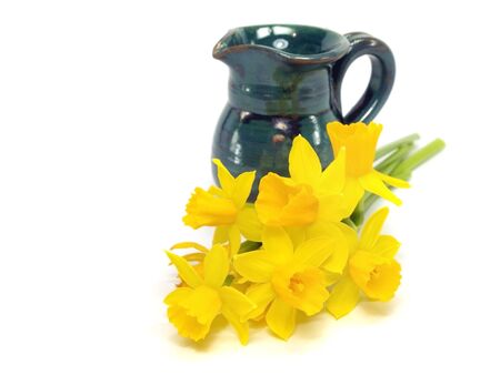 Yellow narcissus and ceramic jug on a white background 
    の写真素材