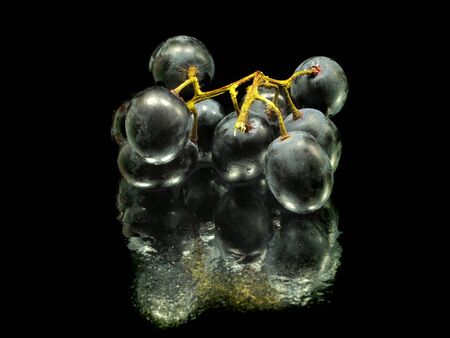 bunch of grapes on a black background with water drops の写真素材
