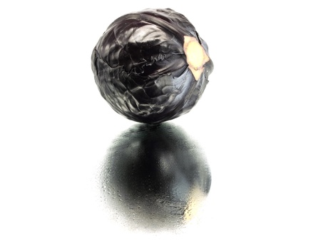red cabbage on a white background with water drops
の写真素材
