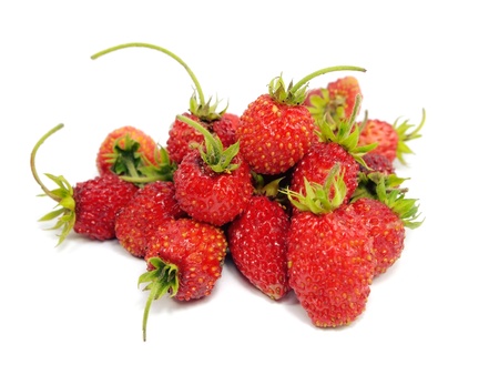 Red wild strawberry on a white background 
   の写真素材