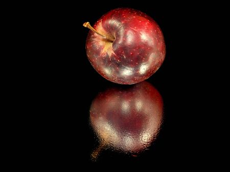 dark red organic apple on a black background with water drops 
 の写真素材