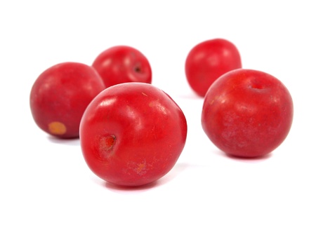red organic plum on a white background 
 の写真素材